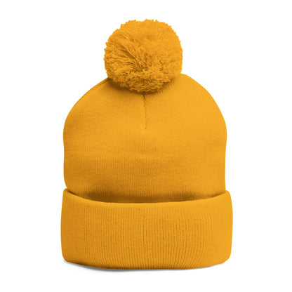 Paisani Pom-Pom Knit Cap