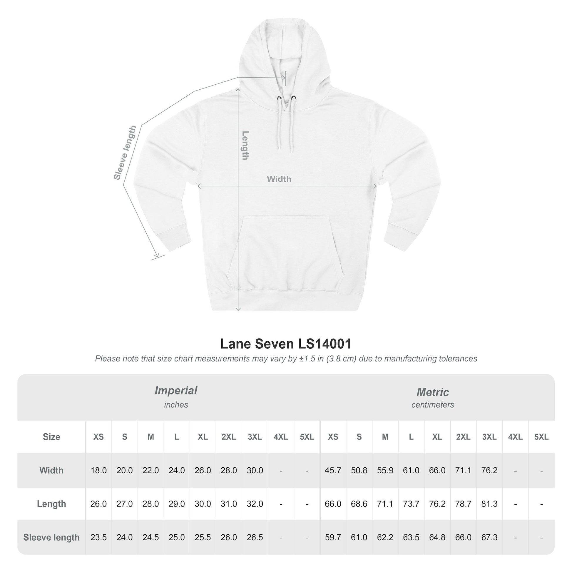 intlx Solutions Hoodie Color Logo