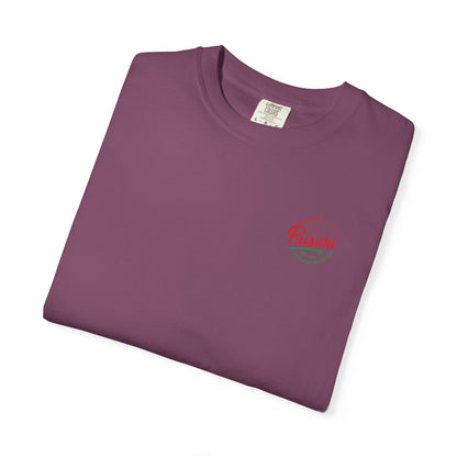 Paisani Boston Skyline T‑Shirt