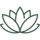 Wellness & Lifestyle